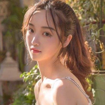 精灵游乐园破解版下载